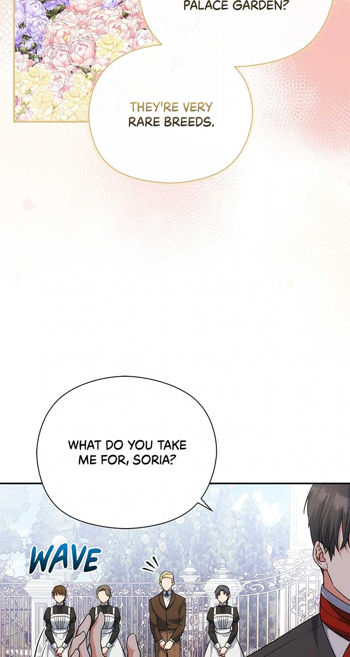 The Princess in the Henhouse Chapter 44 - Page 46