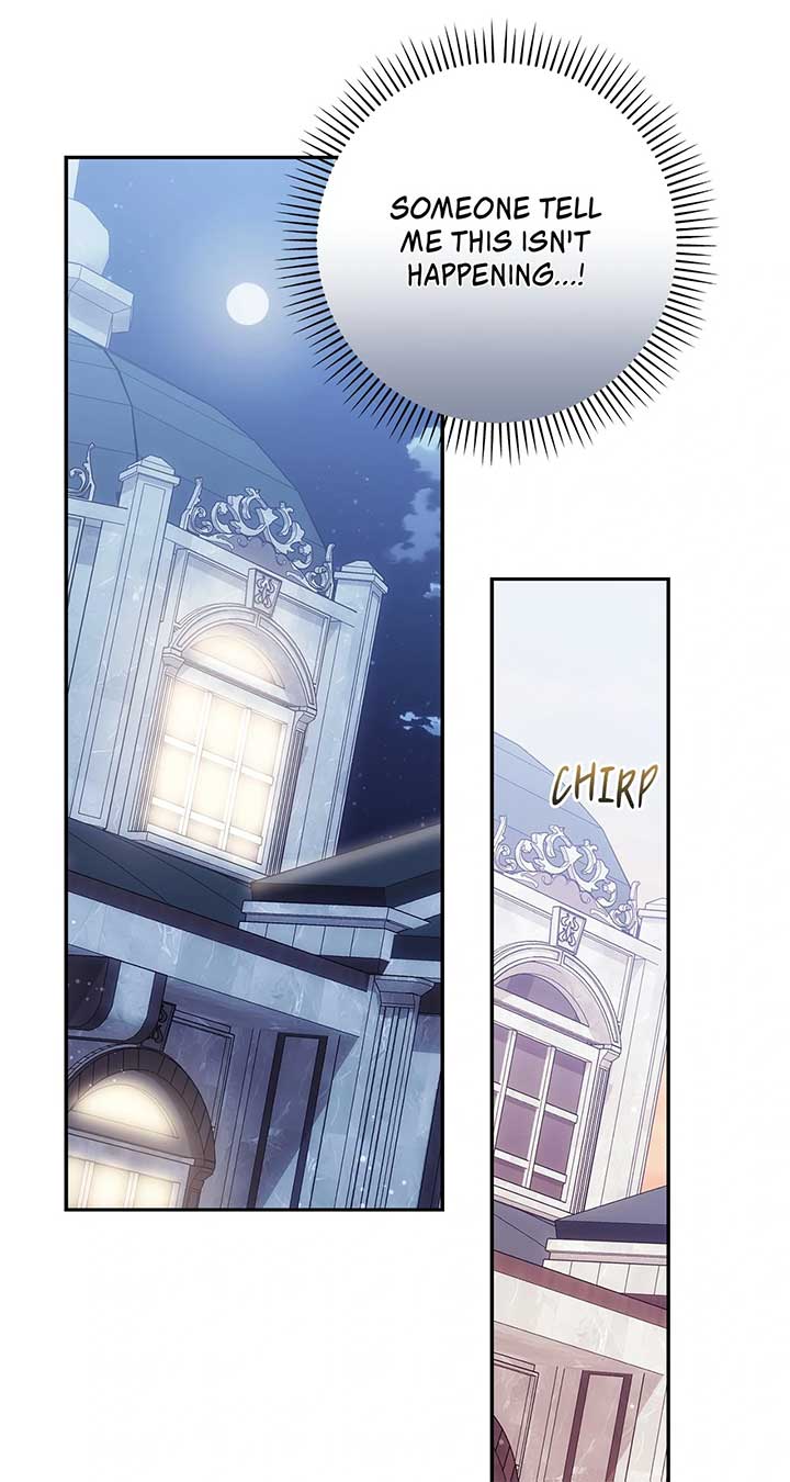 The Princess in the Henhouse Chapter 48 - Page 46