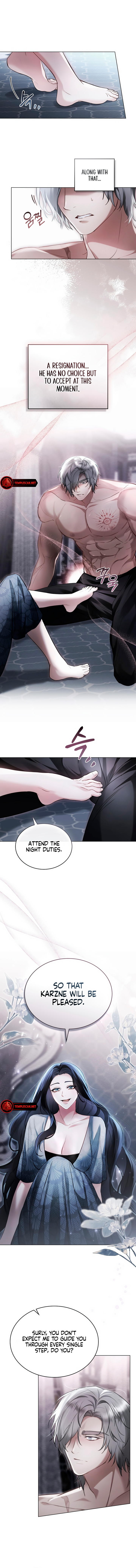 The Princess’s Bedchamber Toy Chapter 4 - Page 4