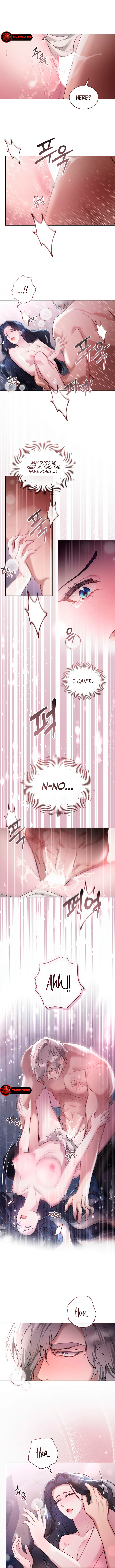 The Princess’s Bedchamber Toy Chapter 5 - Page 3