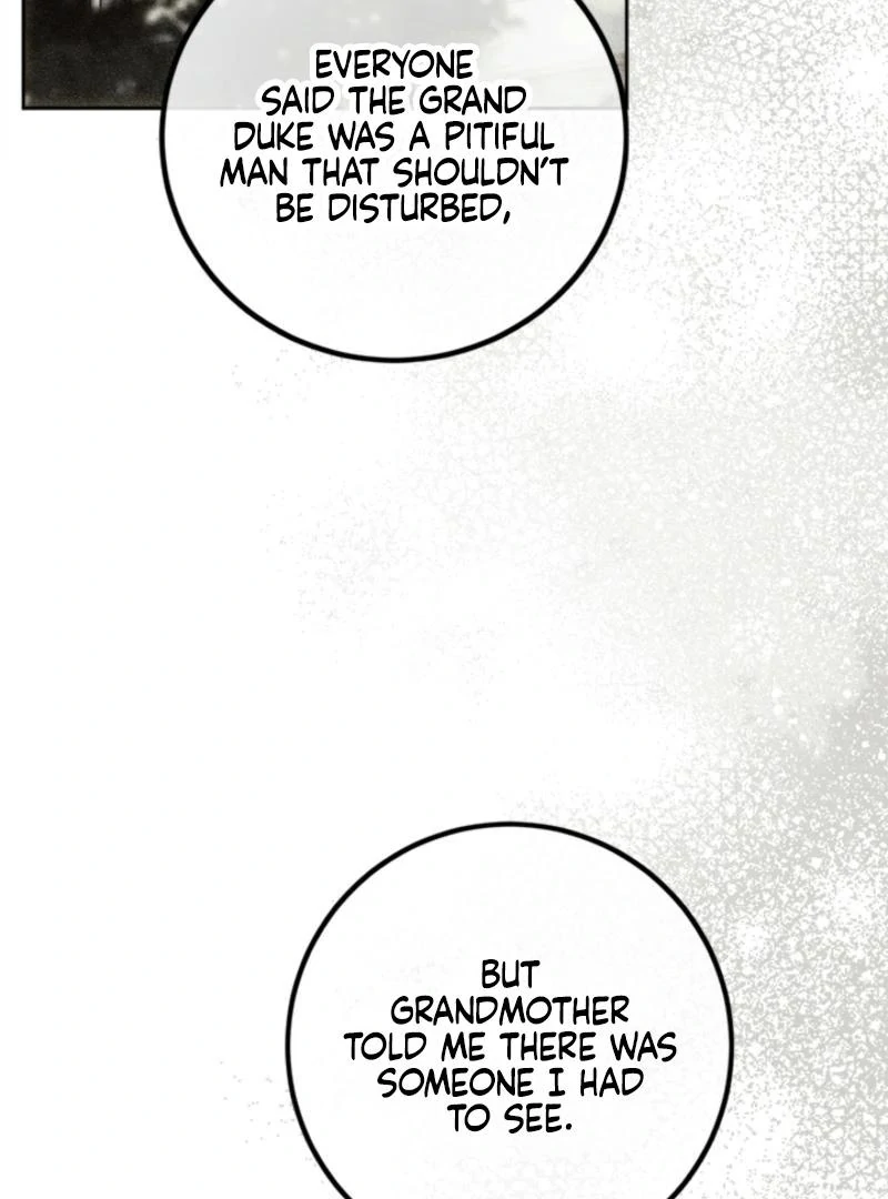 The Princess’s Double Life Chapter 125 - Page 80