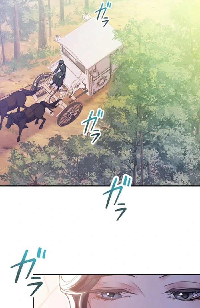 The Quiet Night You Disappeared Nowhere to Run from the Husband I Divorce Chapter 11 - Page 12