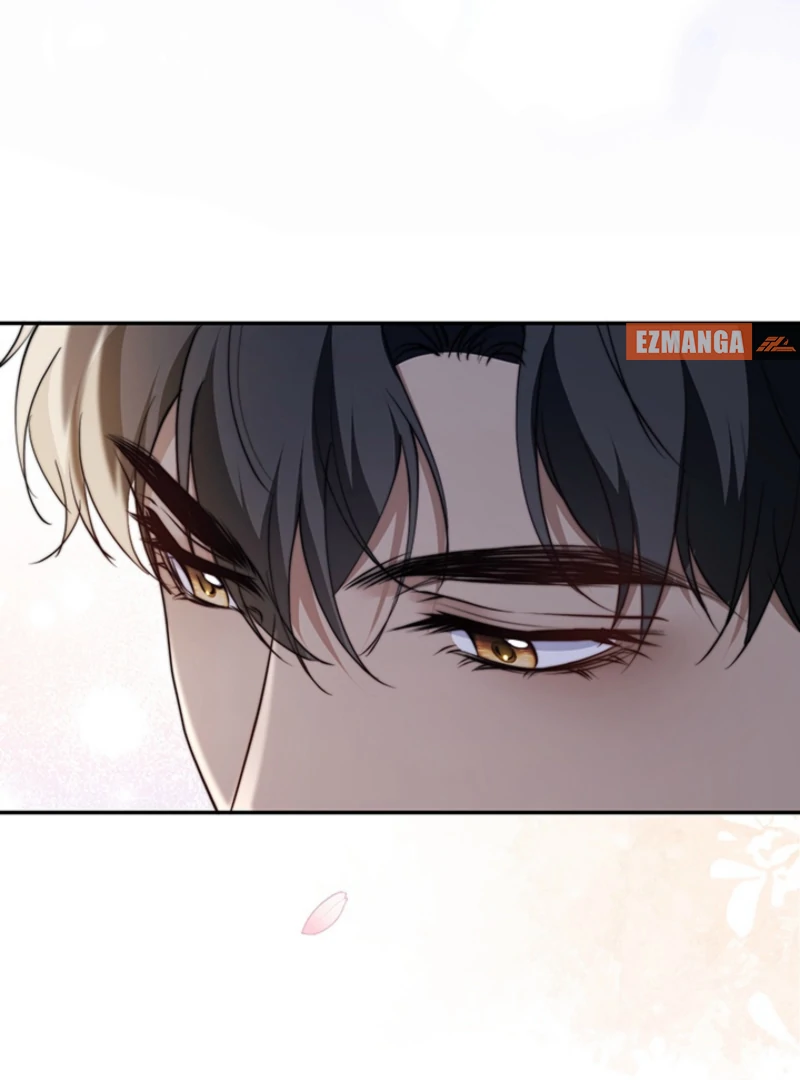 The Quiet Night You Disappeared Nowhere to Run from the Husband I Divorce Chapter 12 - Page 28
