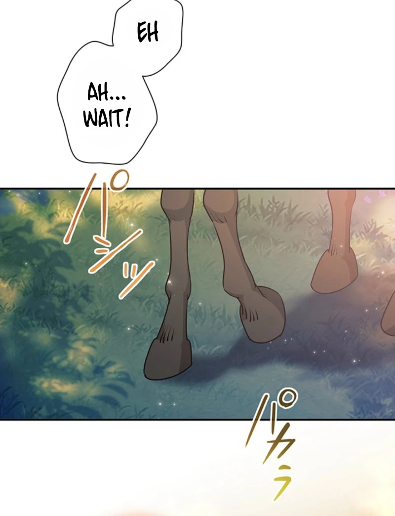 The Quiet Night You Disappeared Nowhere to Run from the Husband I Divorce Chapter 16 - Page 47