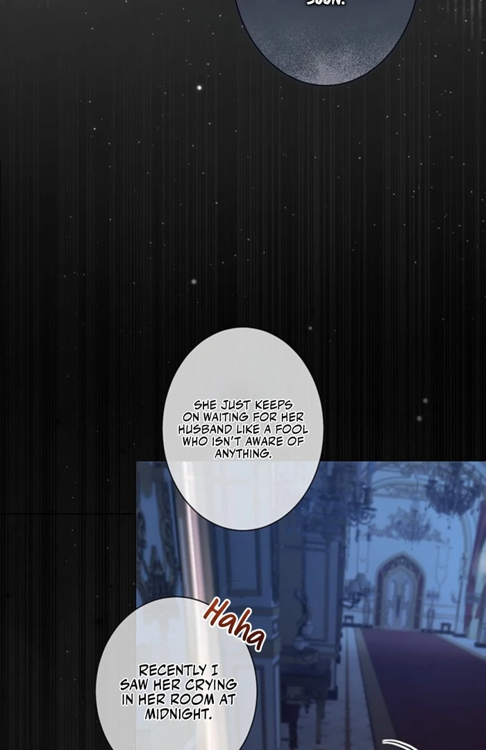 The Quiet Night You Disappeared Nowhere to Run from the Husband I Divorce Chapter 4 - Page 5