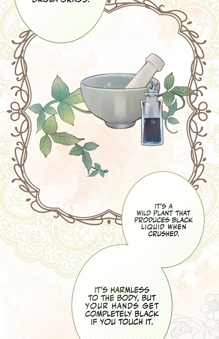 The Quiet Night You Disappeared Nowhere to Run from the Husband I Divorce Chapter 5 - Page 41