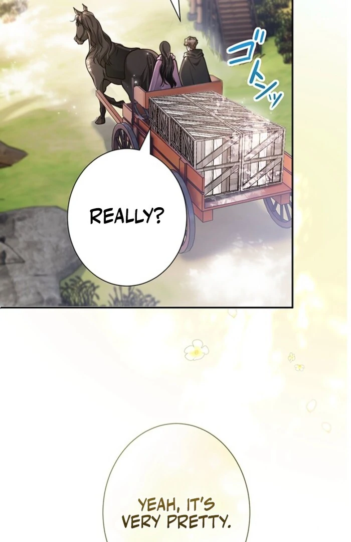 The Quiet Night You Disappeared Nowhere to Run from the Husband I Divorce Chapter 5 - Page 44