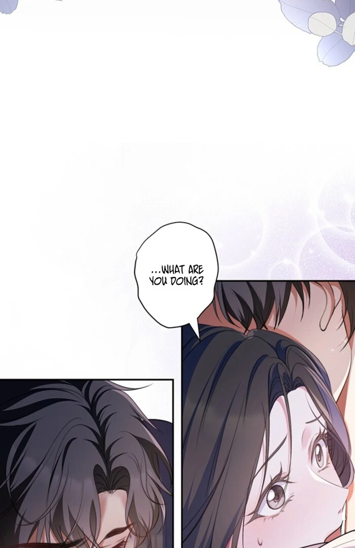 The Quiet Night You Disappeared Nowhere to Run from the Husband I Divorce Chapter 8 - Page 13