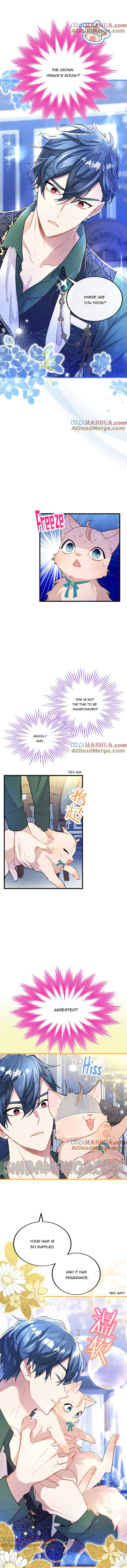 The Reason Why the Twin Lady Crossdresses Chapter 50 - Page 11