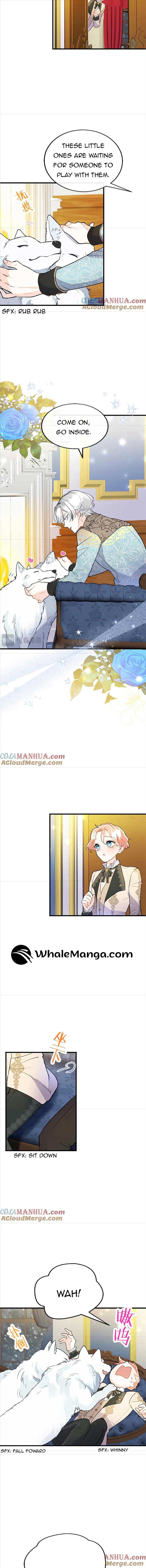 The Reason Why the Twin Lady Crossdresses Chapter 71 - Page 2