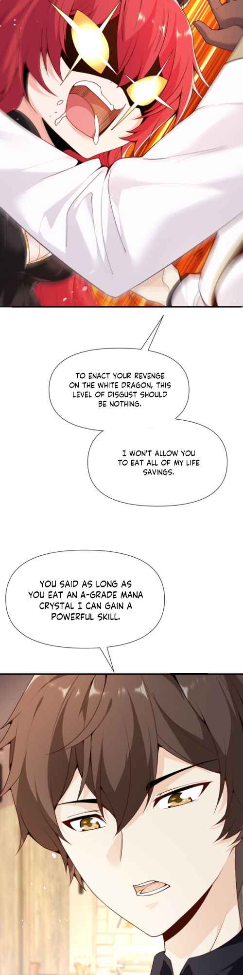 The Red Dragon Hero Is No Good Guy Chapter 4 - Page 11