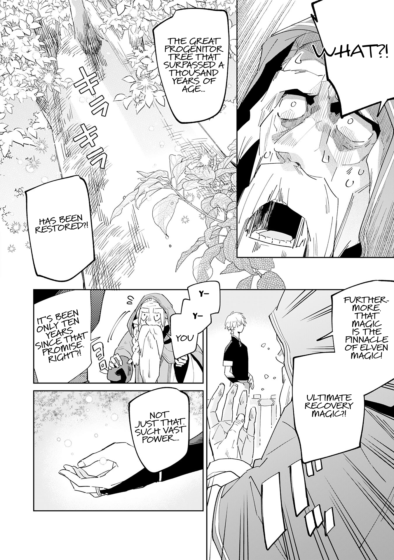The Reincarnated Elf Left on a Journey to Master His Magic and With His Extra Lifespan Became a Living Legend Chapter 1 - Page 17