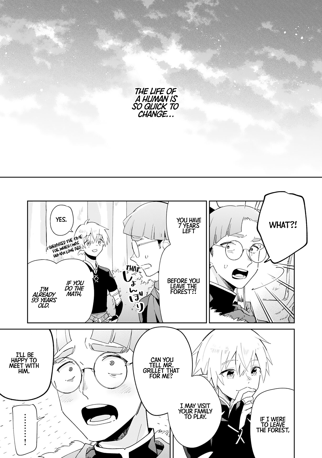 The Reincarnated Elf Left on a Journey to Master His Magic and With His Extra Lifespan Became a Living Legend Chapter 1 - Page 28