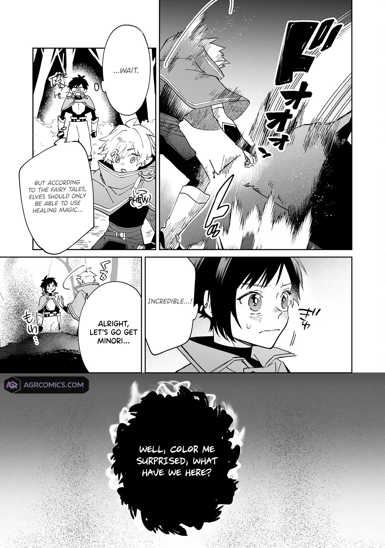 The Reincarnated Elf Left on a Journey to Master His Magic and With His Extra Lifespan Became a Living Legend Chapter 10 - Page 12