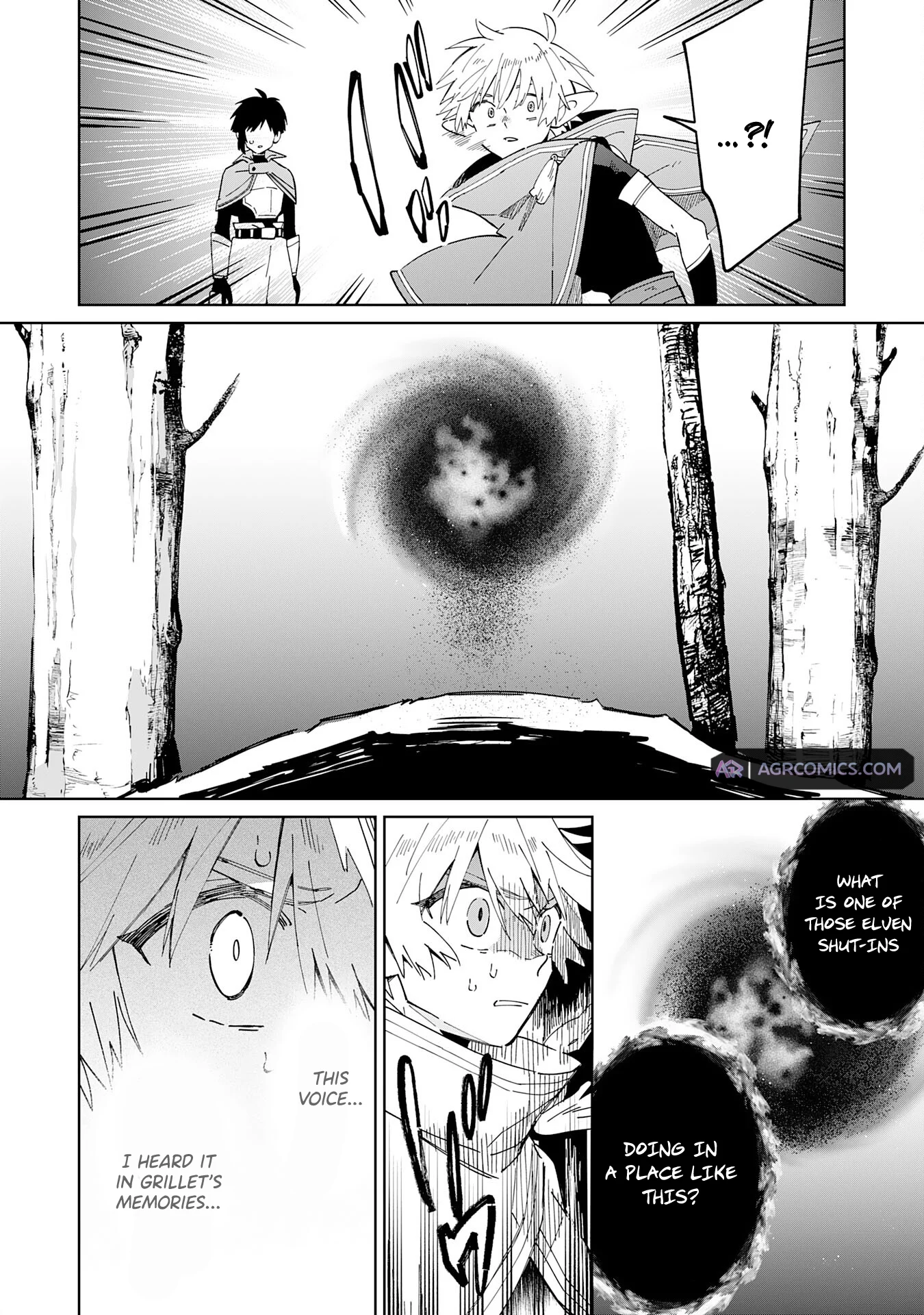 The Reincarnated Elf Left on a Journey to Master His Magic and With His Extra Lifespan Became a Living Legend Chapter 10 - Page 13