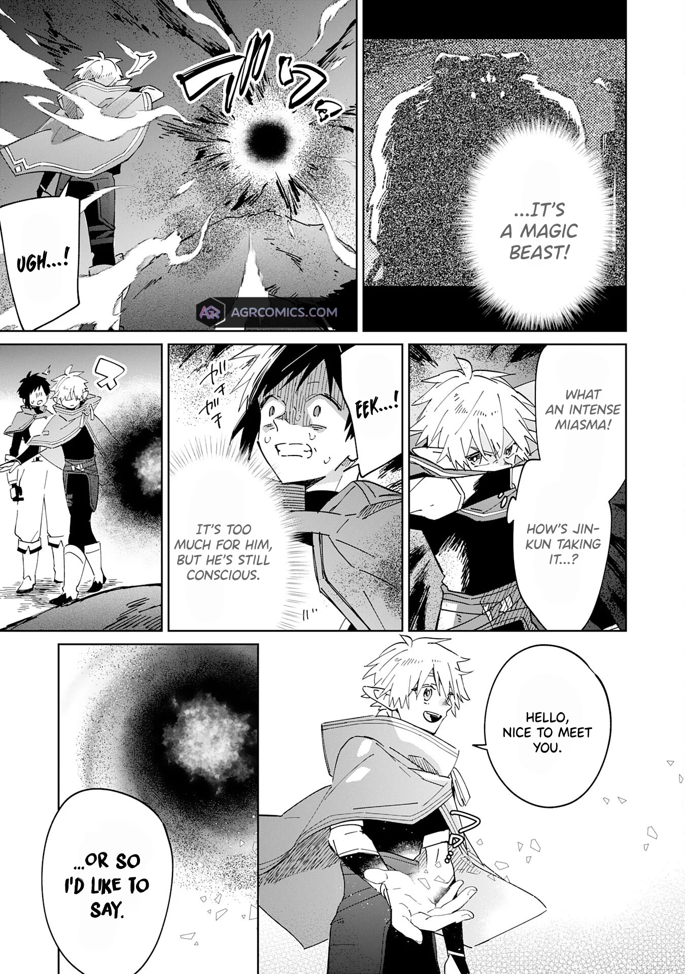 The Reincarnated Elf Left on a Journey to Master His Magic and With His Extra Lifespan Became a Living Legend Chapter 10 - Page 14