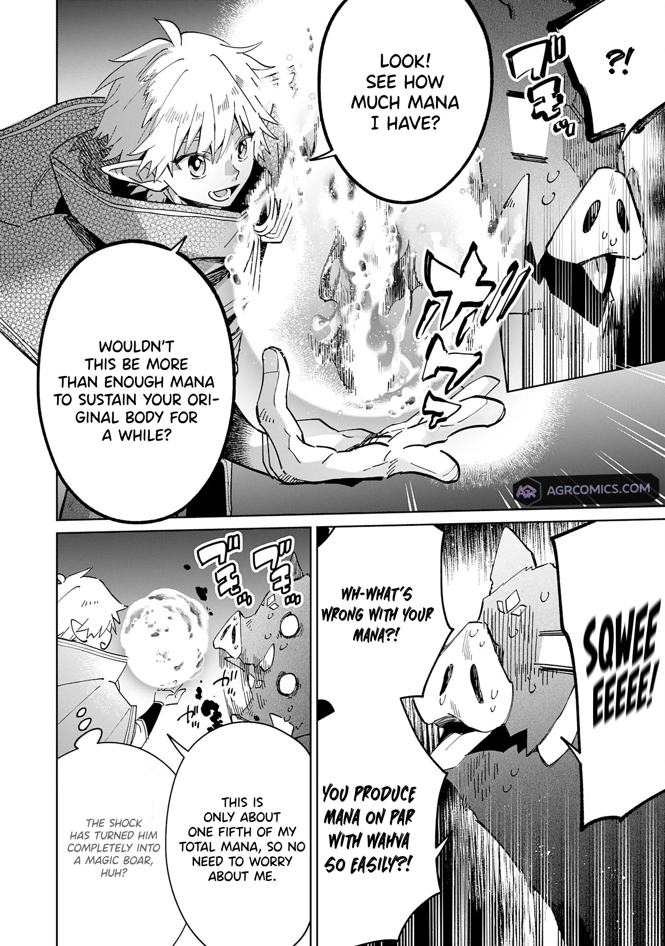 The Reincarnated Elf Left on a Journey to Master His Magic and With His Extra Lifespan Became a Living Legend Chapter 10 - Page 23