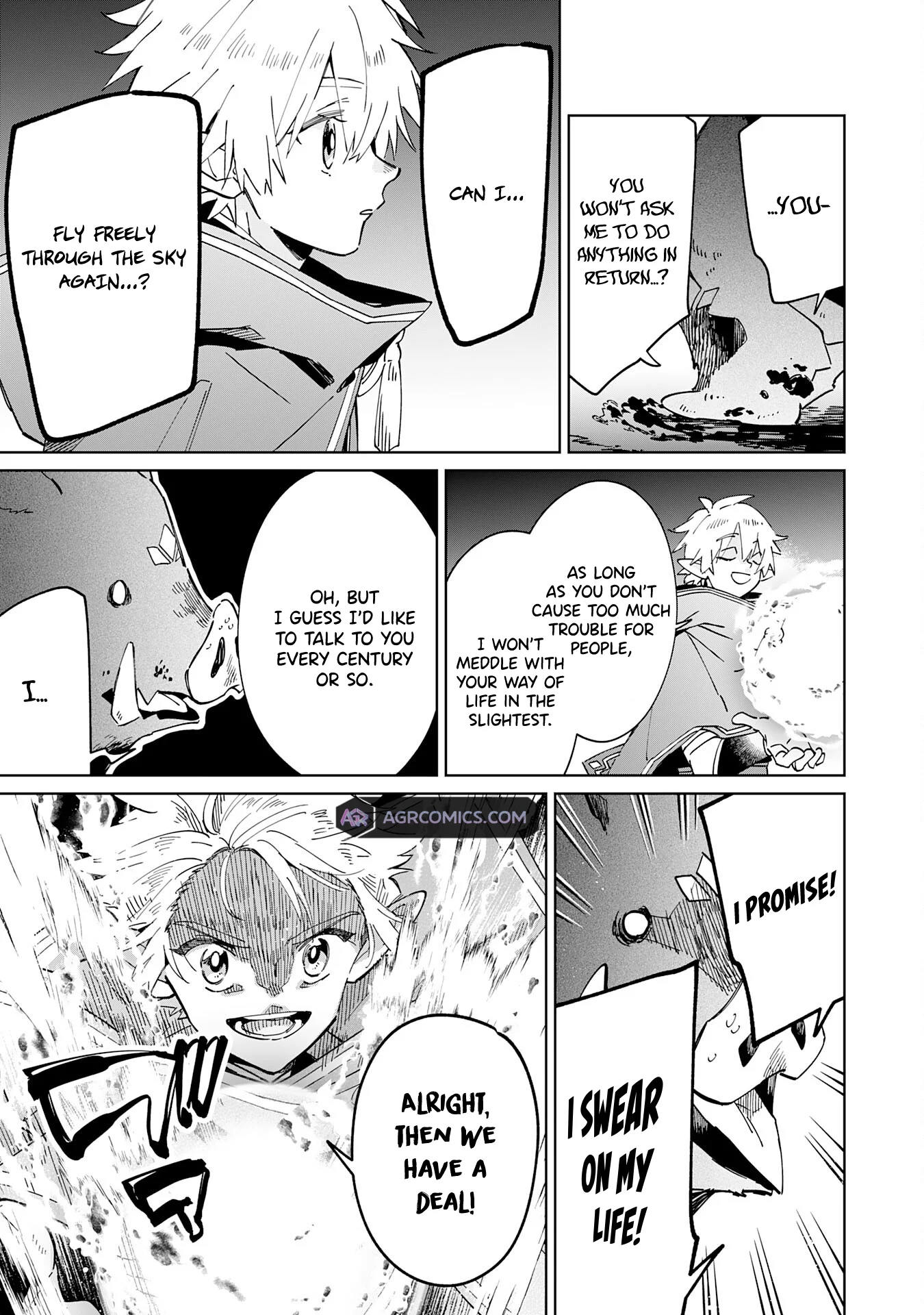 The Reincarnated Elf Left on a Journey to Master His Magic and With His Extra Lifespan Became a Living Legend Chapter 10 - Page 24