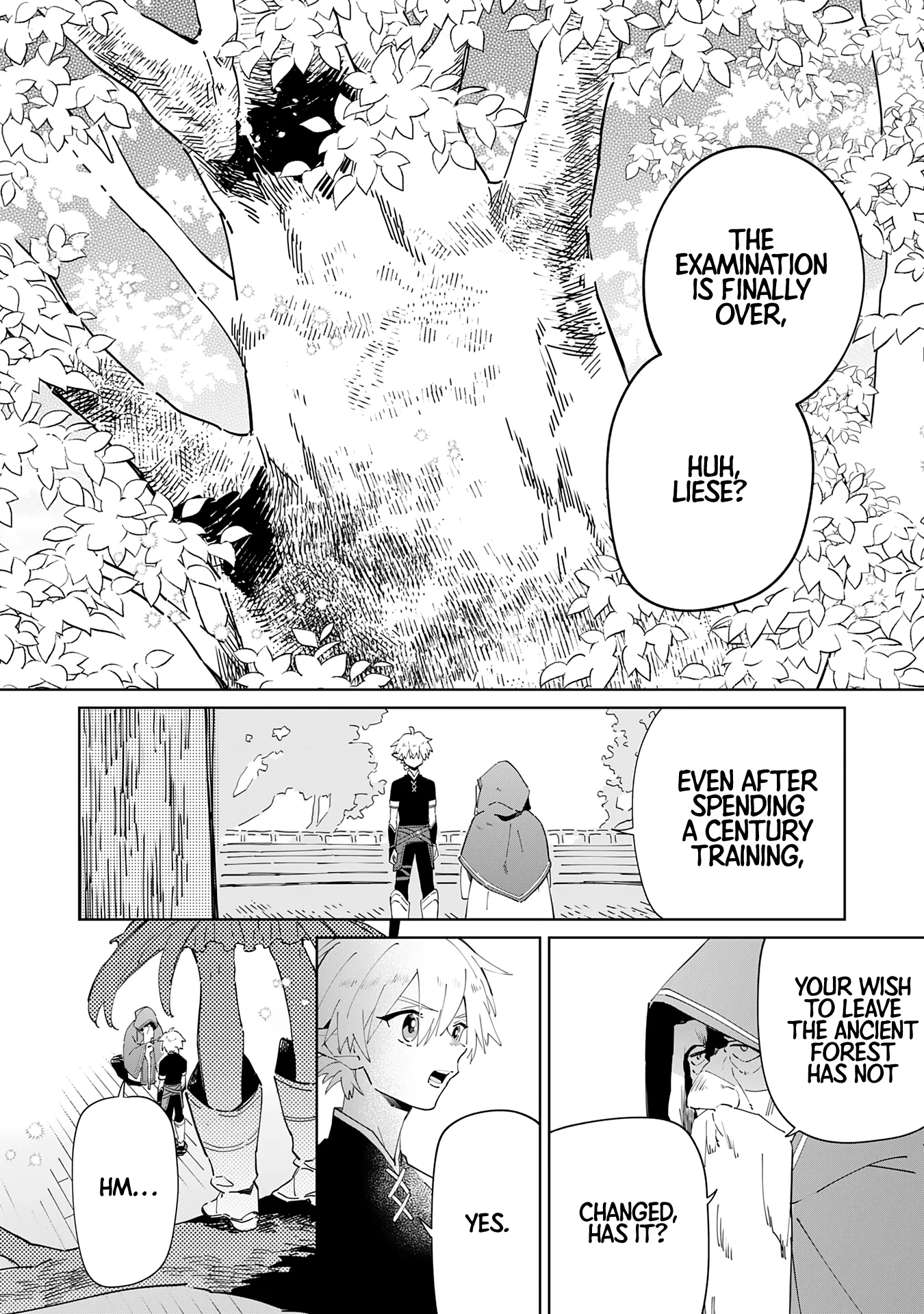 The Reincarnated Elf Left on a Journey to Master His Magic and With His Extra Lifespan Became a Living Legend Chapter 3 - Page 3