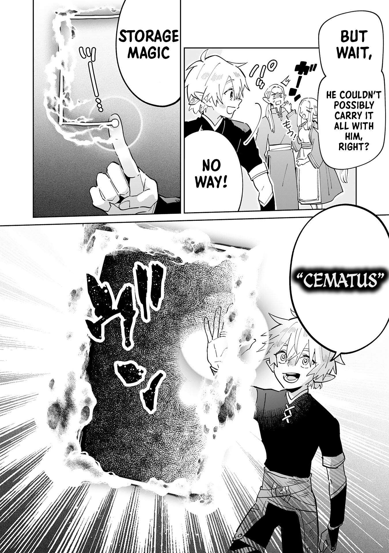 The Reincarnated Elf Left on a Journey to Master His Magic and With His Extra Lifespan Became a Living Legend Chapter 4 - Page 11