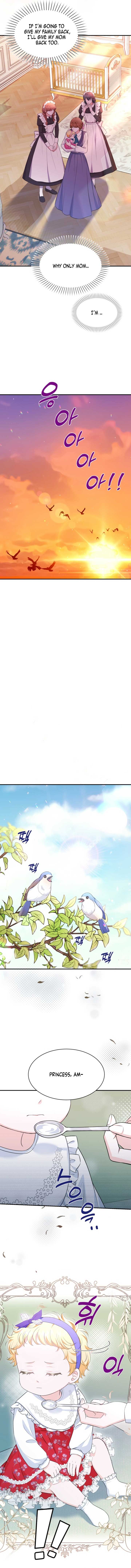 The S-Class Little Princess Is Too Strong Chapter 5 - Page 6