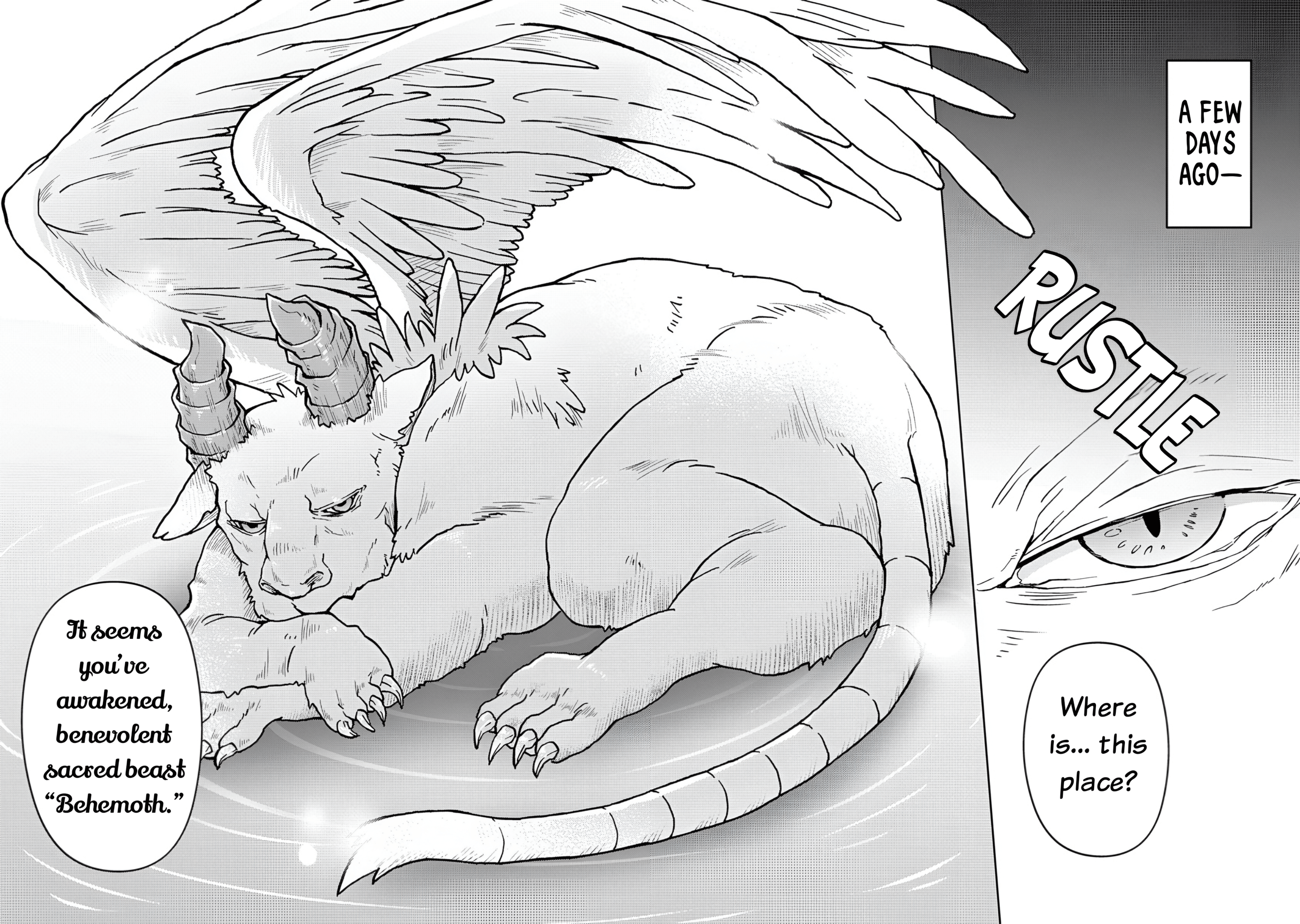 The Sacred Beast Behemoth, Reincarnated As A Human With Ultimate Status, Accidentally Steals The Hero’s Fiancée (The Princess). Chapter 1 - Page 9