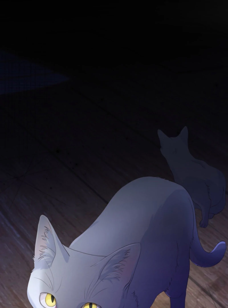 The Saint Who Wishes for Death Makes a Pact with the Cursed Prince Chapter 25 - Page 49