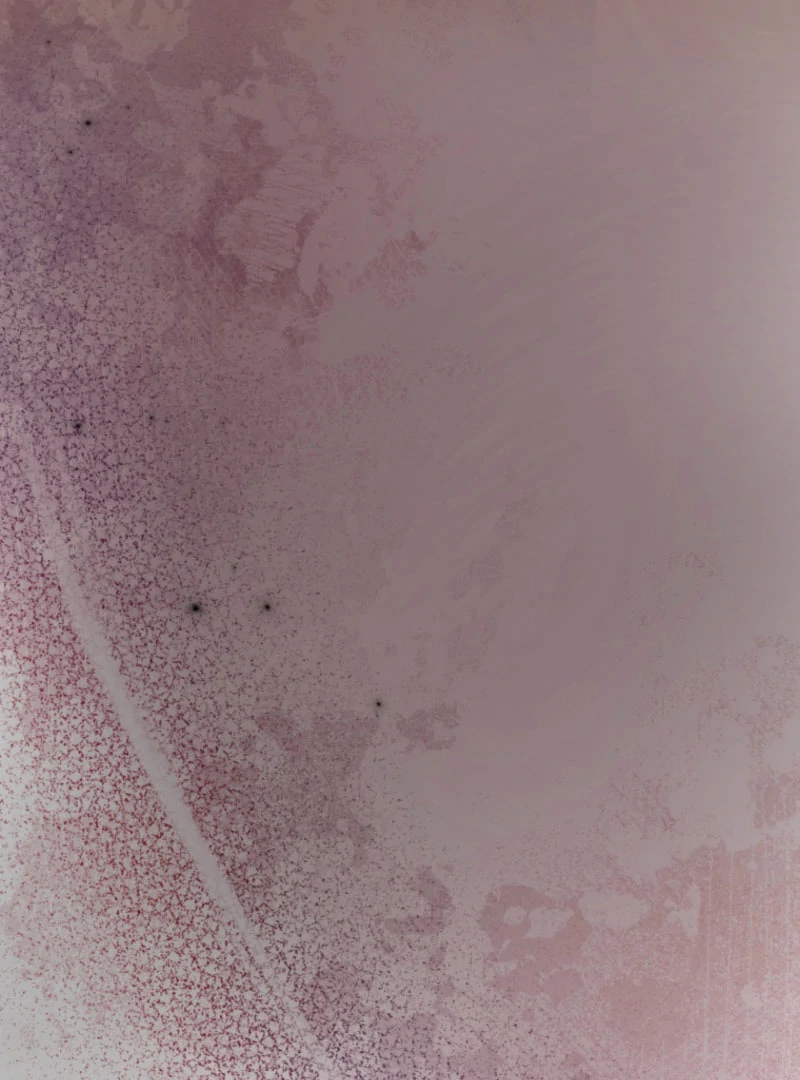 The Saint Who Wishes for Death Makes a Pact with the Cursed Prince Chapter 25 - Page 51