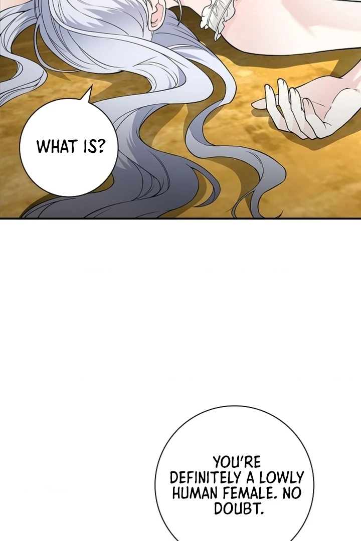 The Saint’s Petals Are Wet Chapter 17 - Page 51