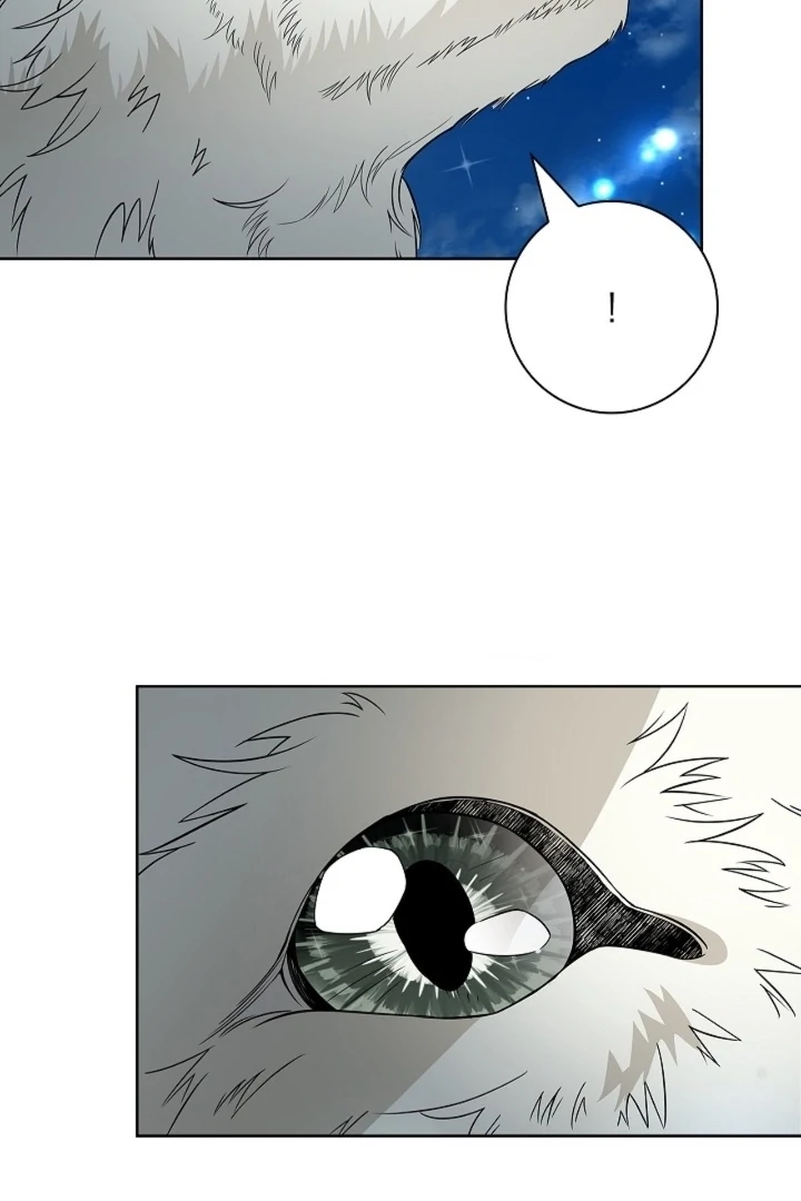 The Saint’s Petals Are Wet Chapter 19 - Page 53