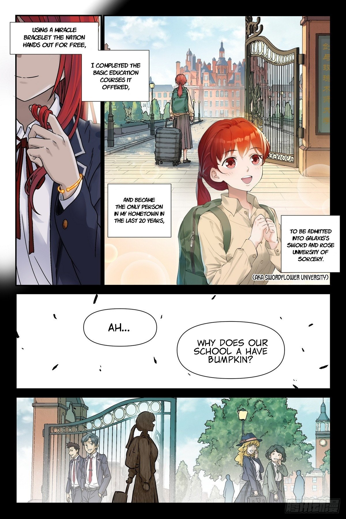 The Sorcerer Manual Chapter 6 - Page 4