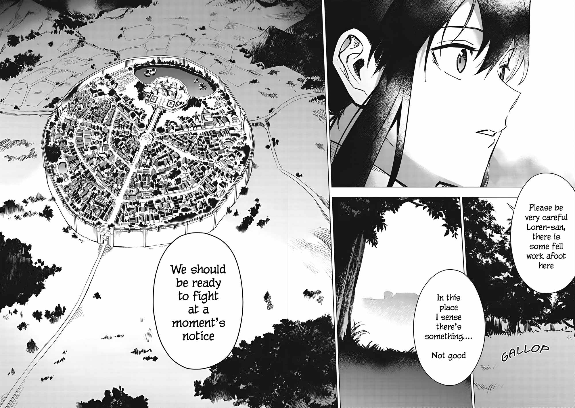 The Strange Adventure of a Broke Mercenary Chapter 25.2 - Page 6