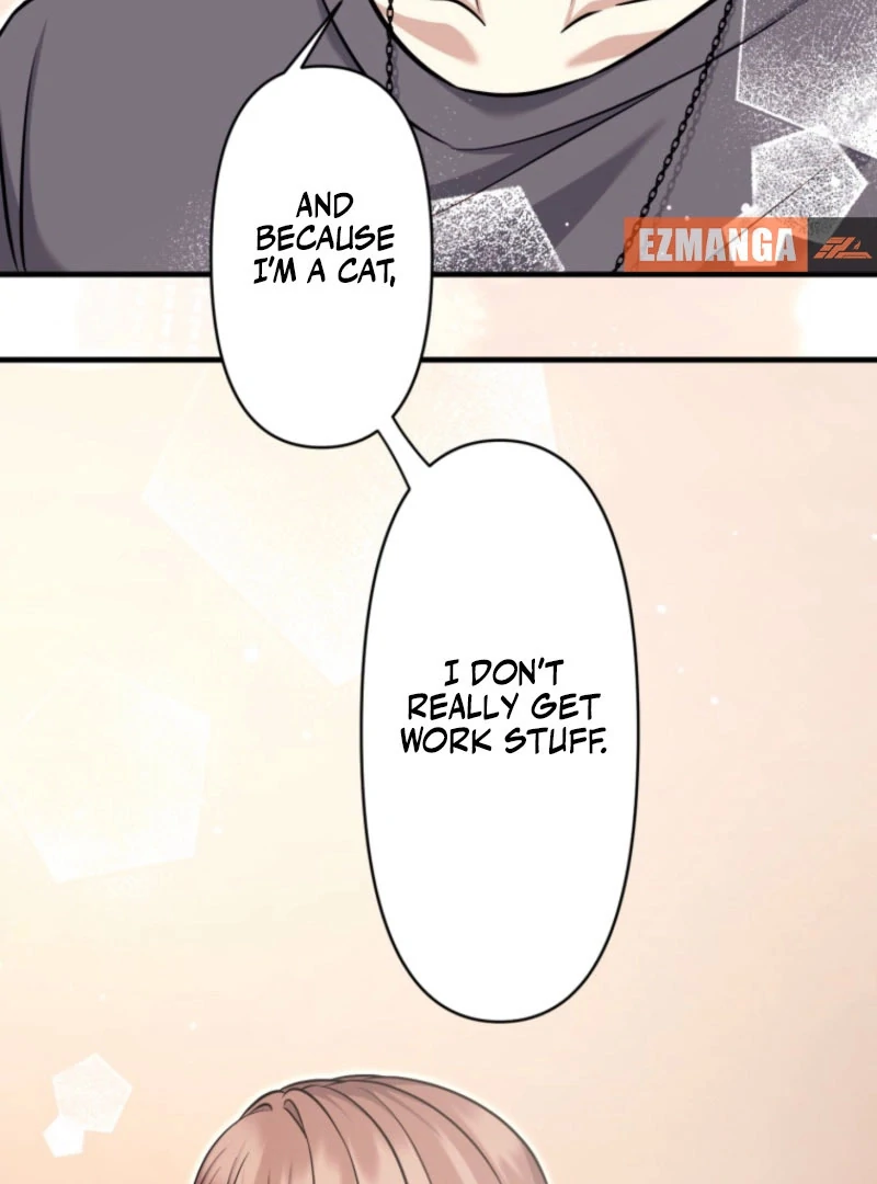 The Stray Cat Who Doesn’t Know the Greatest Love Song Chapter 13 - Page 40