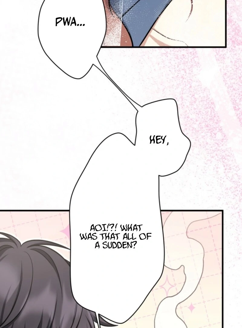 The Stray Cat Who Doesn’t Know the Greatest Love Song Chapter 14 - Page 15