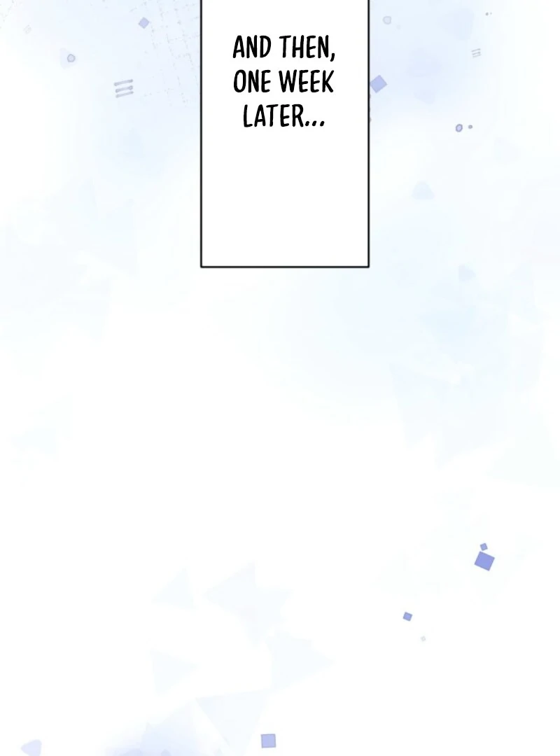 The Stray Cat Who Doesn’t Know the Greatest Love Song Chapter 14 - Page 5