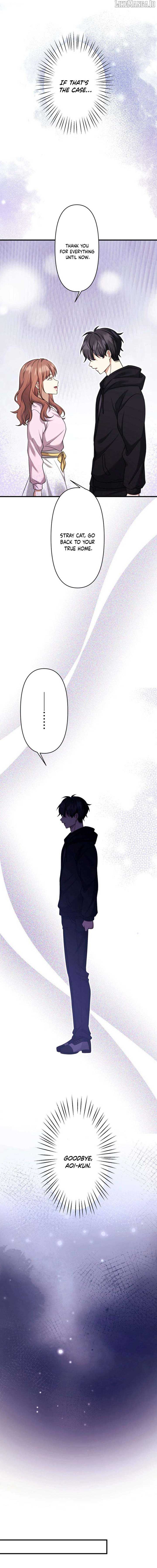 The Stray Cat Who Doesn’t Know the Greatest Love Song Chapter 17 - Page 9