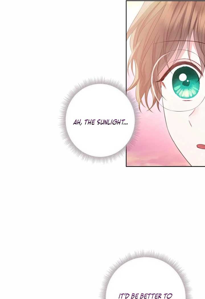 The Strongest Brother Lost His Memory Chapter 27 - Page 25