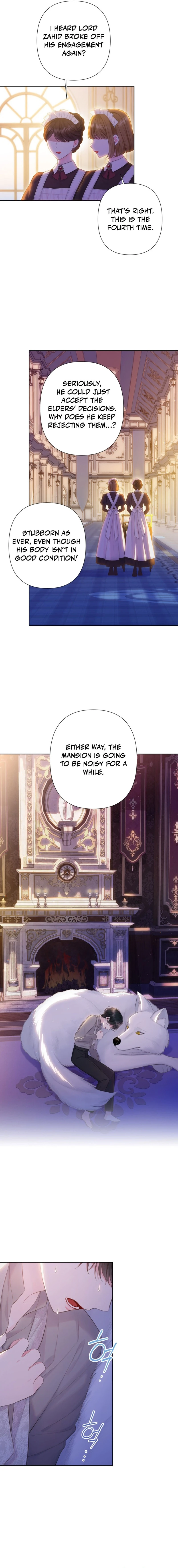 The Strongest Brother Lost His Memory Chapter 5 - Page 13
