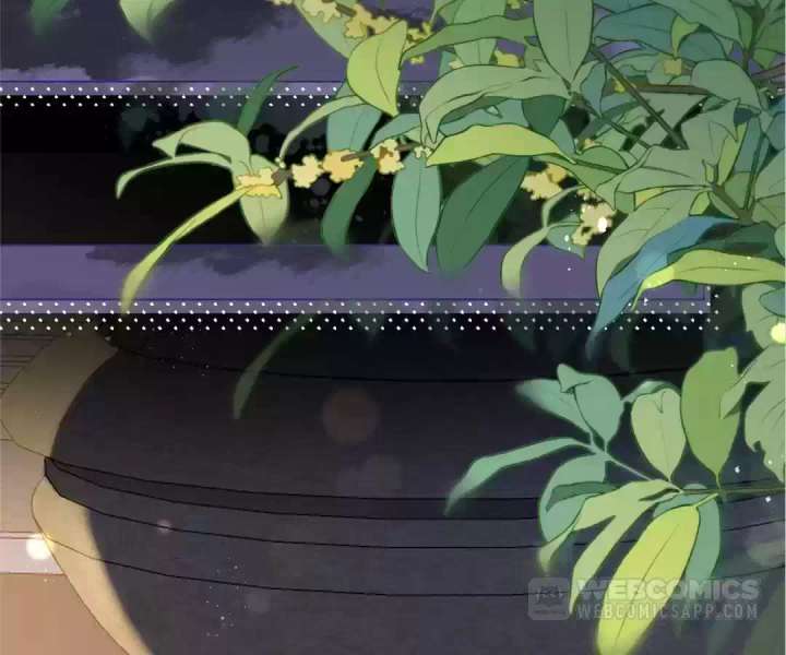 The Substitute Bride and the Overly Affectionate Husband Chapter 35 - Page 83