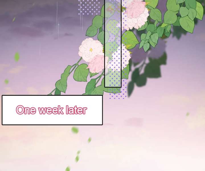 The Substitute Bride and the Overly Affectionate Husband Chapter 40 - Page 29