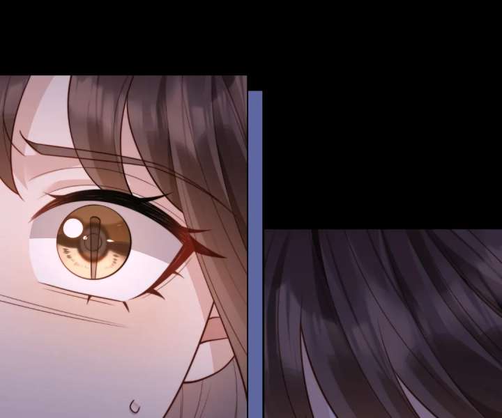 The Substitute Bride and the Overly Affectionate Husband Chapter 41 - Page 64