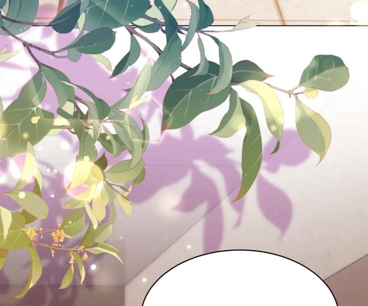 The Substitute Bride and the Overly Affectionate Husband Chapter 45 - Page 137