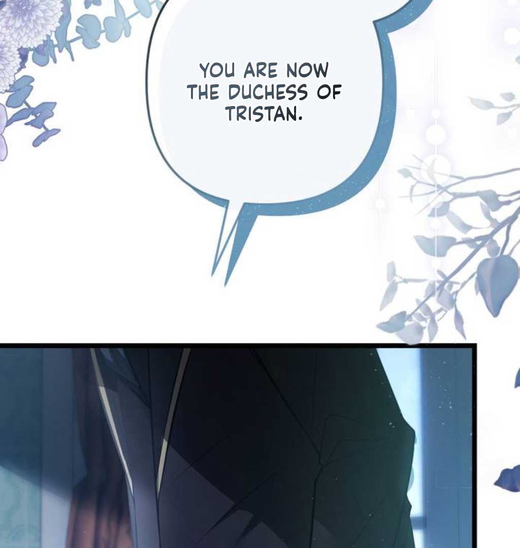 The Substitute Bride Chapter 1 - Page 223