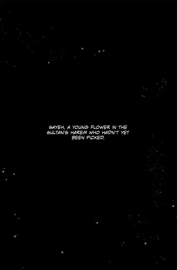 The Sultan’s Love Chapter 0 - Page 6