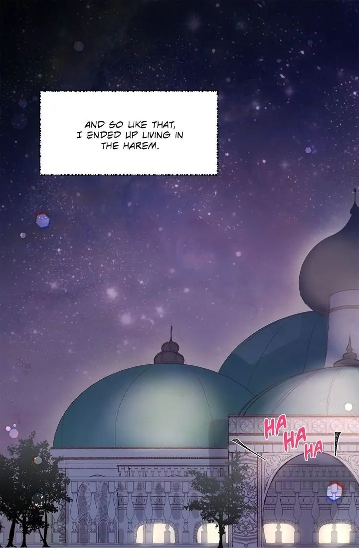 The Sultan’s Love Chapter 1 - Page 17