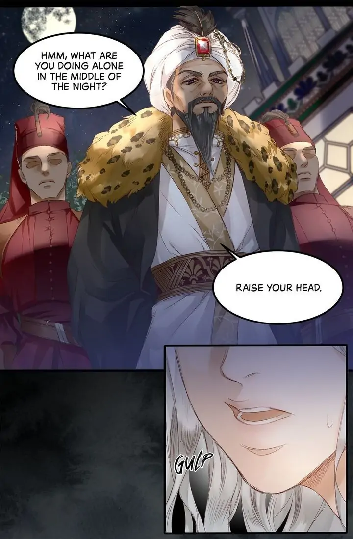 The Sultan’s Love Chapter 1 - Page 33