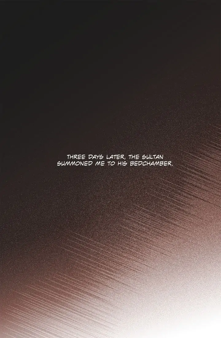The Sultan’s Love Chapter 1 - Page 39