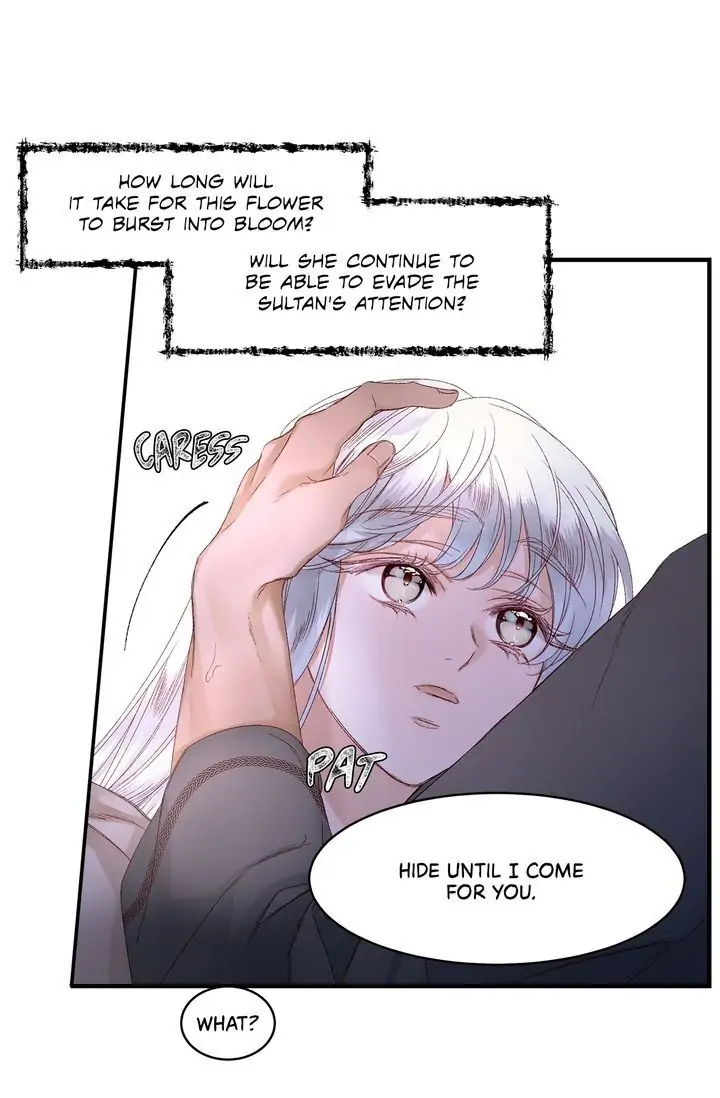The Sultan’s Love Chapter 11 - Page 53