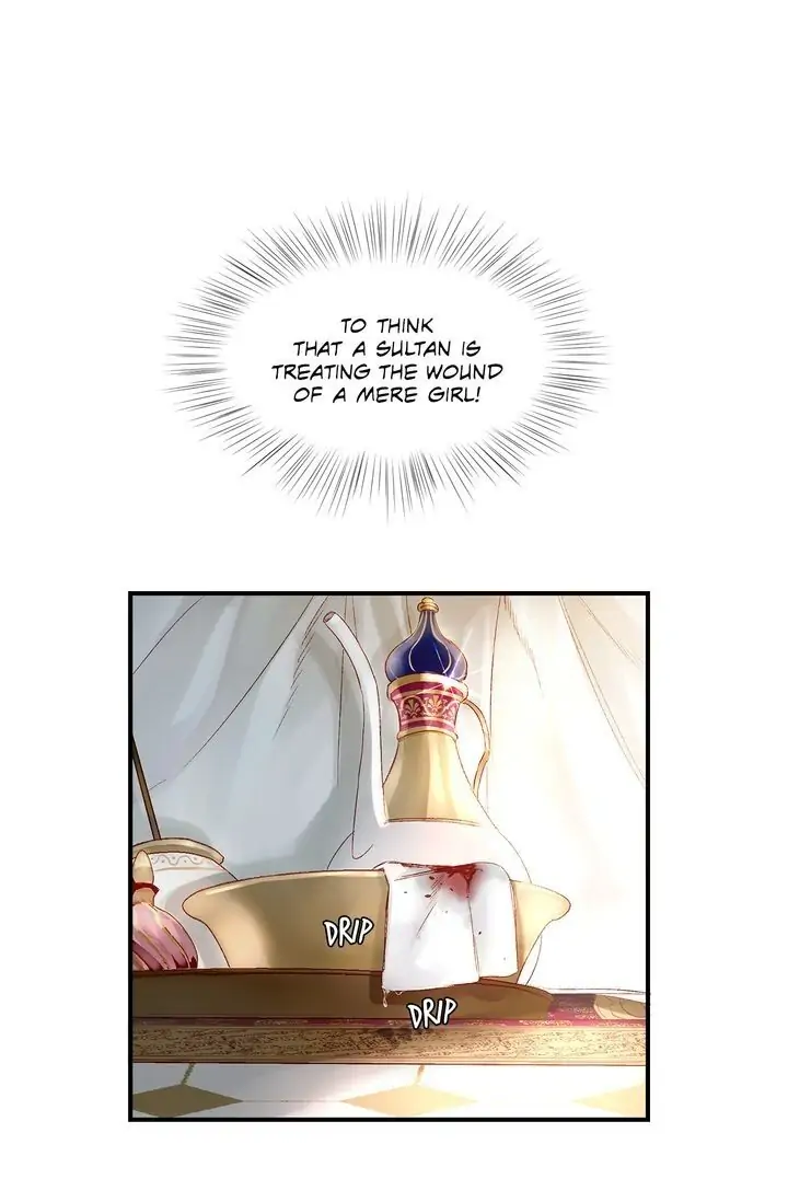 The Sultan’s Love Chapter 3 - Page 18