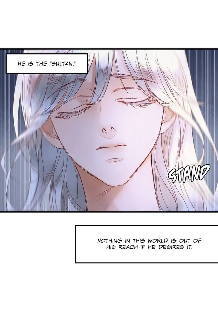 The Sultan’s Love Chapter 4 - Page 44